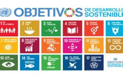 Cómo trabajar en casa los Objetivos de Desarrollo Sostenible